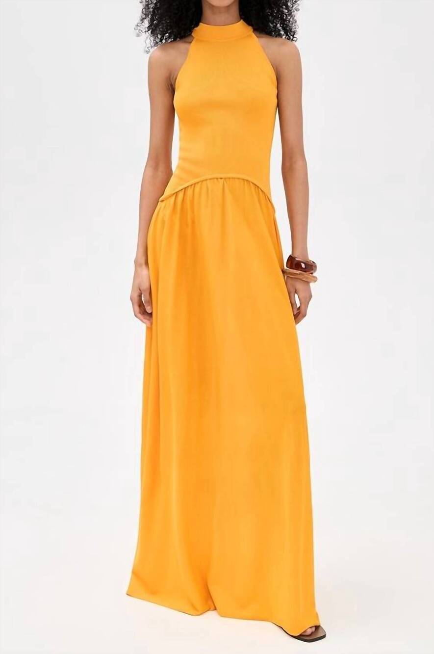 NEW SOLID & STRIPED isola maxi dress in pineapple